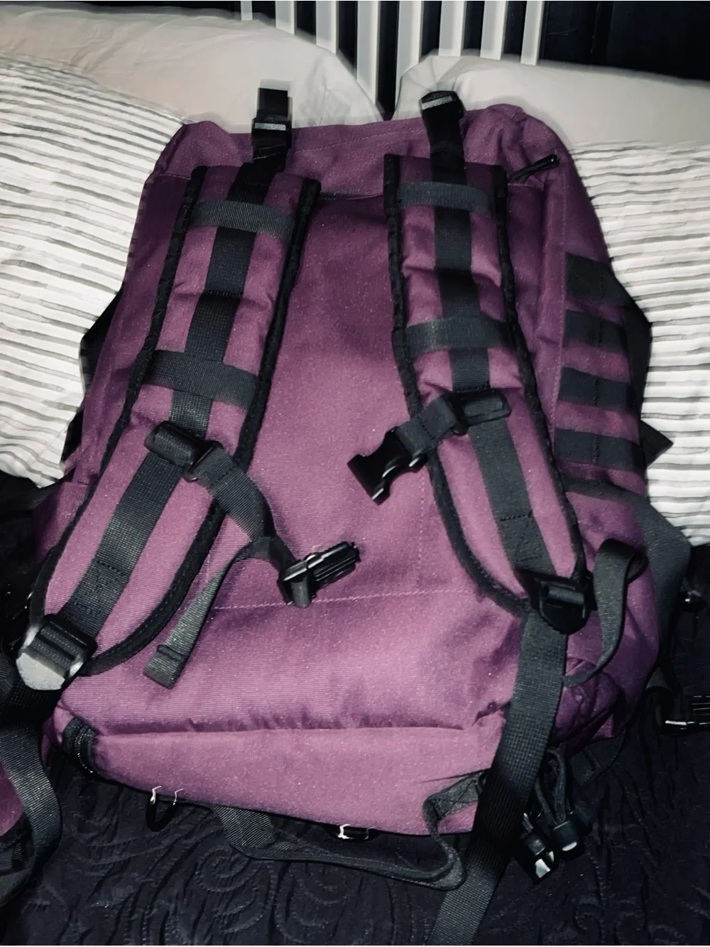 Purple No Surrender Gear Tactical Backpack